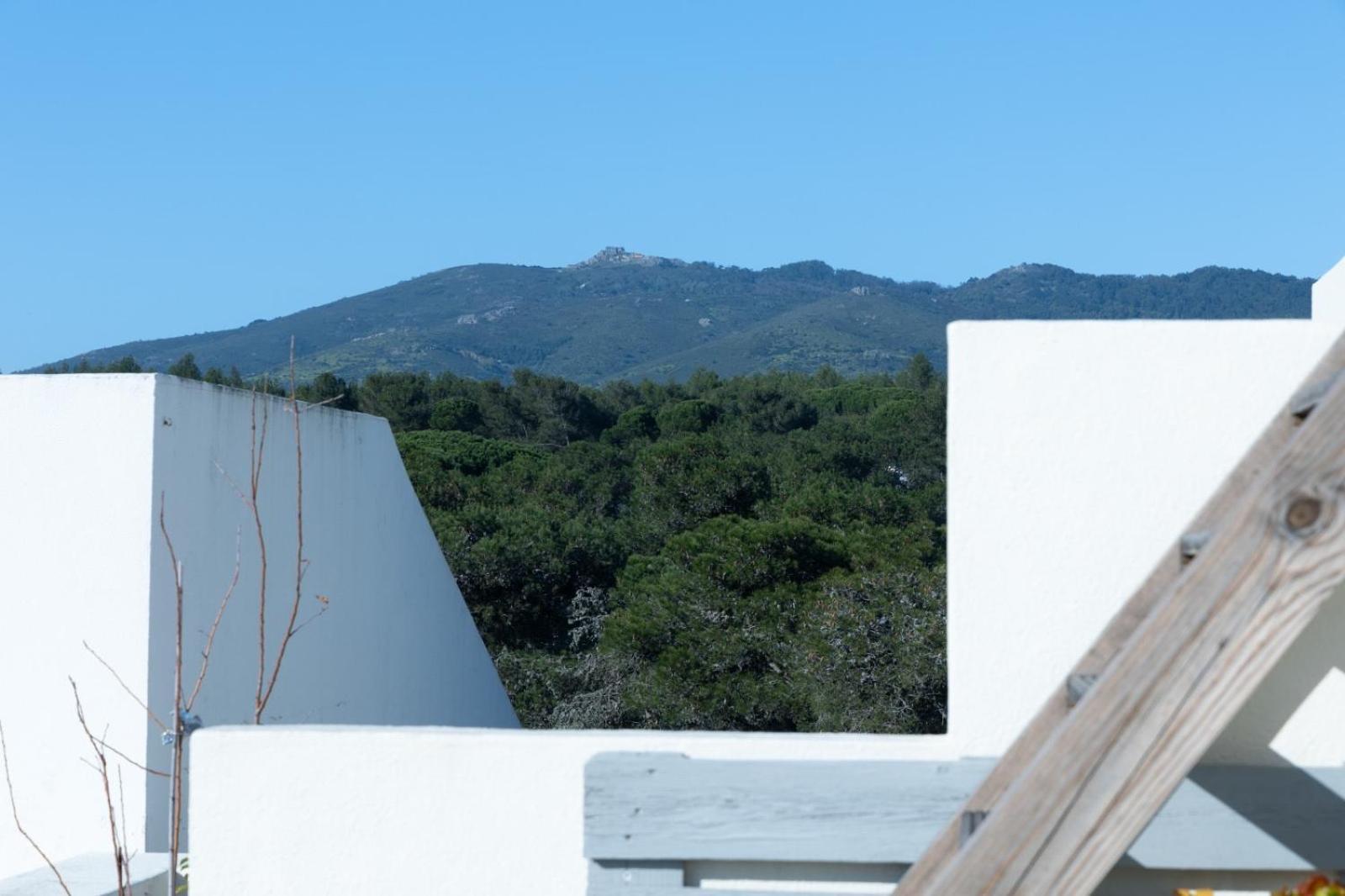 Villa Roots House Cascaes Exterior foto
